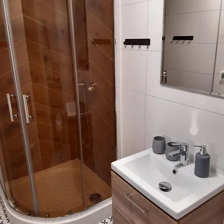 Gorska Pod Wyciagiem Remiaszow Nr Ix Bus Pod Domkami Chalet