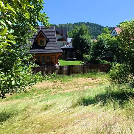 Gorska Pod Wyciagiem Remiaszow Nr Ix Bus Pod Domkami Шале *